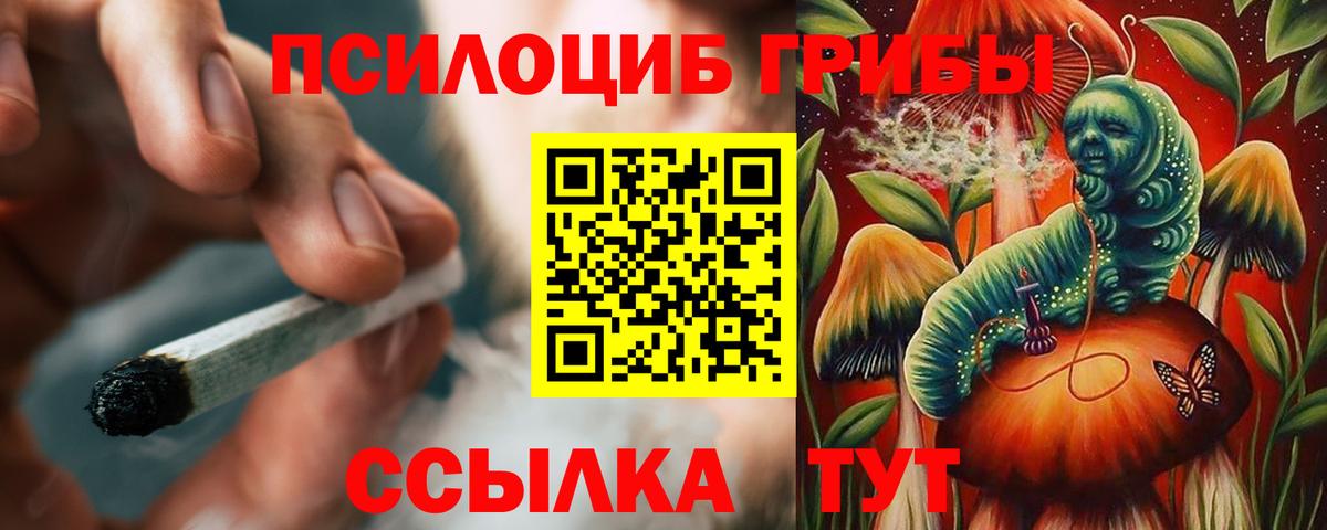 Псилоцибиновые грибы MAGIC MUSHROOMS Ревда